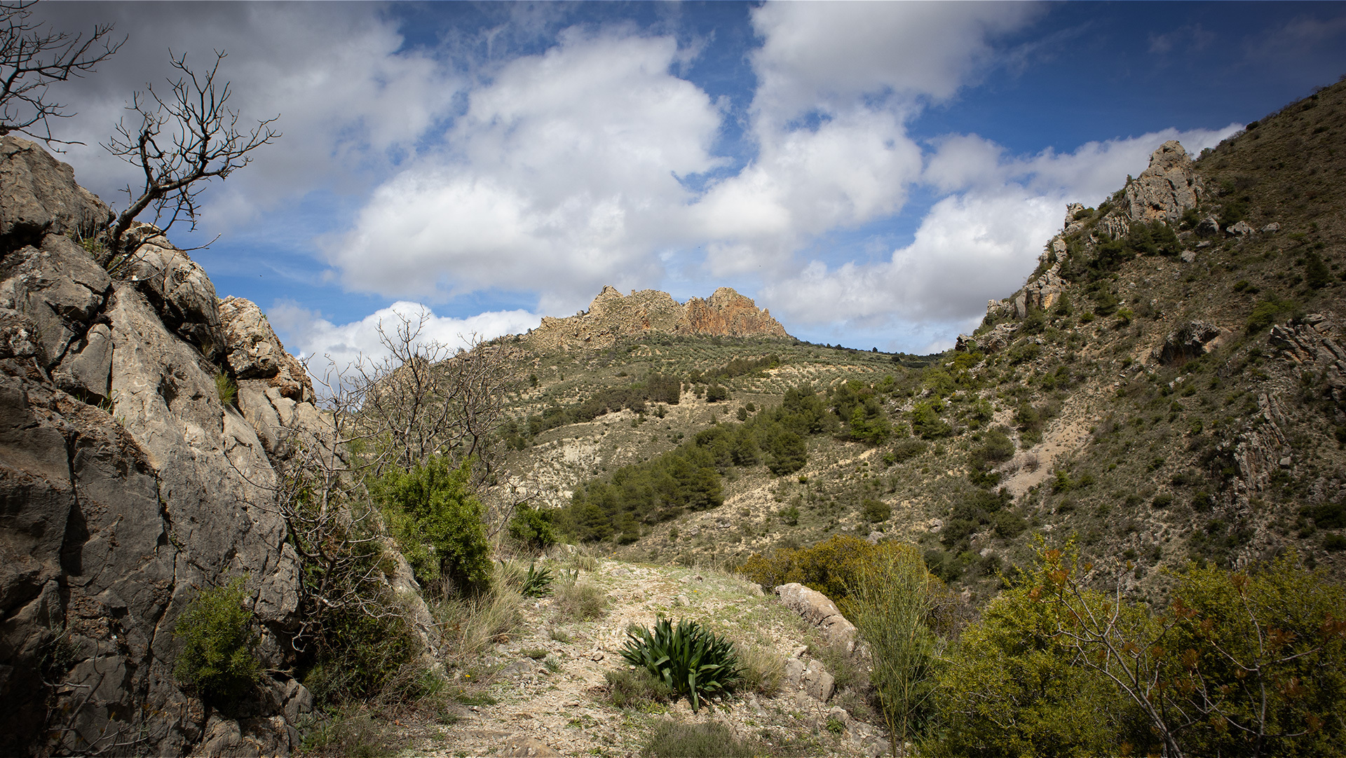 Blick zum Torcal de Albánchez vom Wanderweg zur Caldera del Tío Lobo