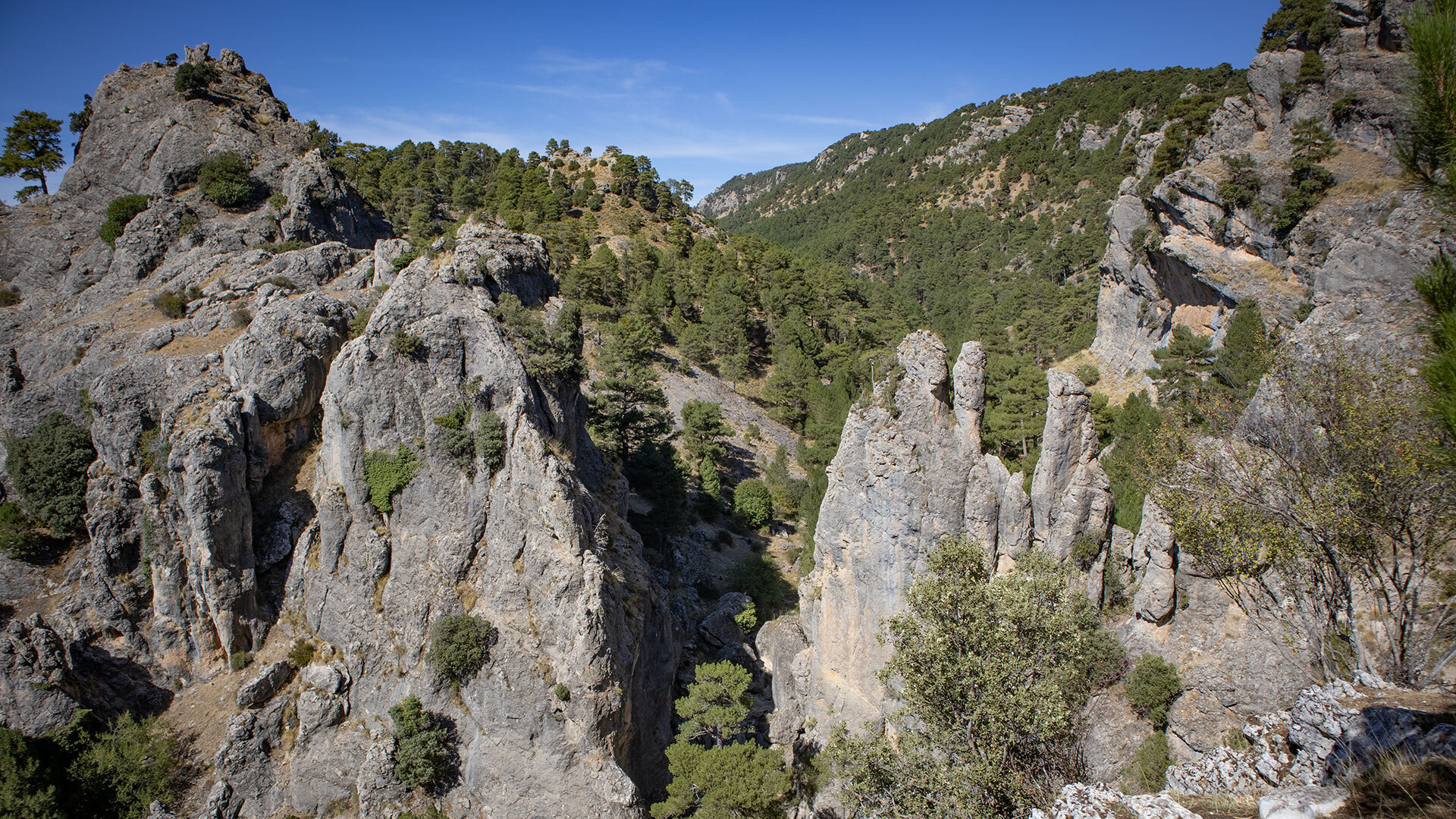 Parque Natural de las Sierras de Cazorla, Segura y Las Villas