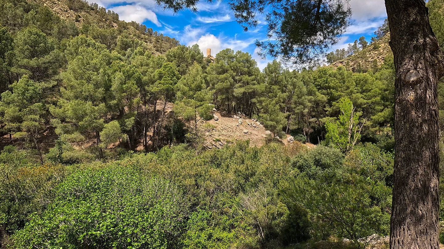 Torreón de Cuadros am Río Cuadros bei Bedmar – zylindrischer Wachturm aus dem 15. Jahrhundert.