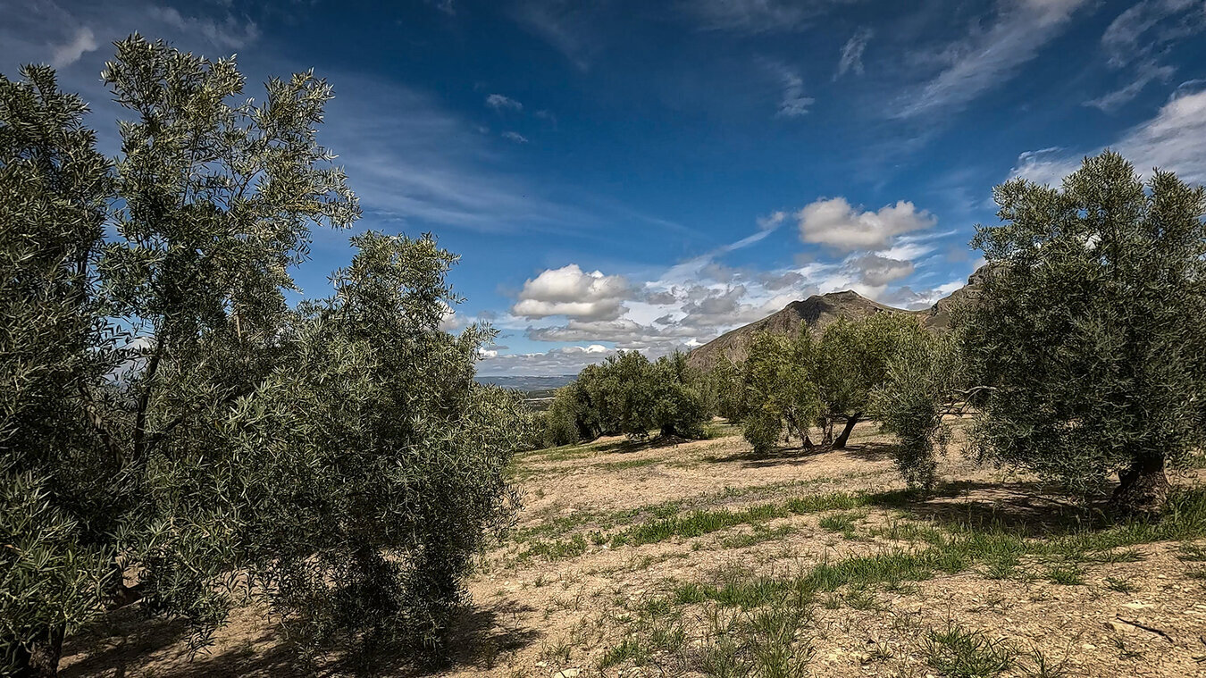 Comarca Sierra Mágina 