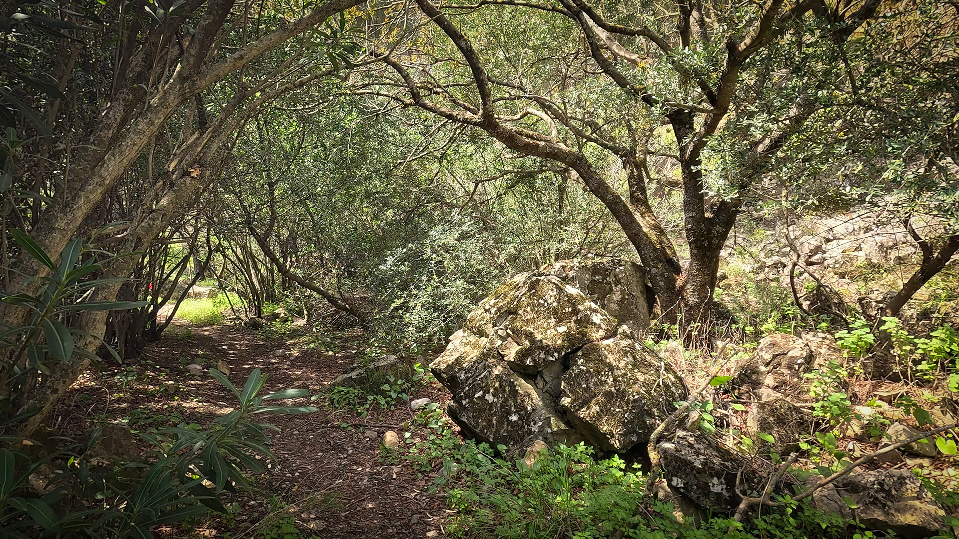Wanderweg am Rio Cuadros
