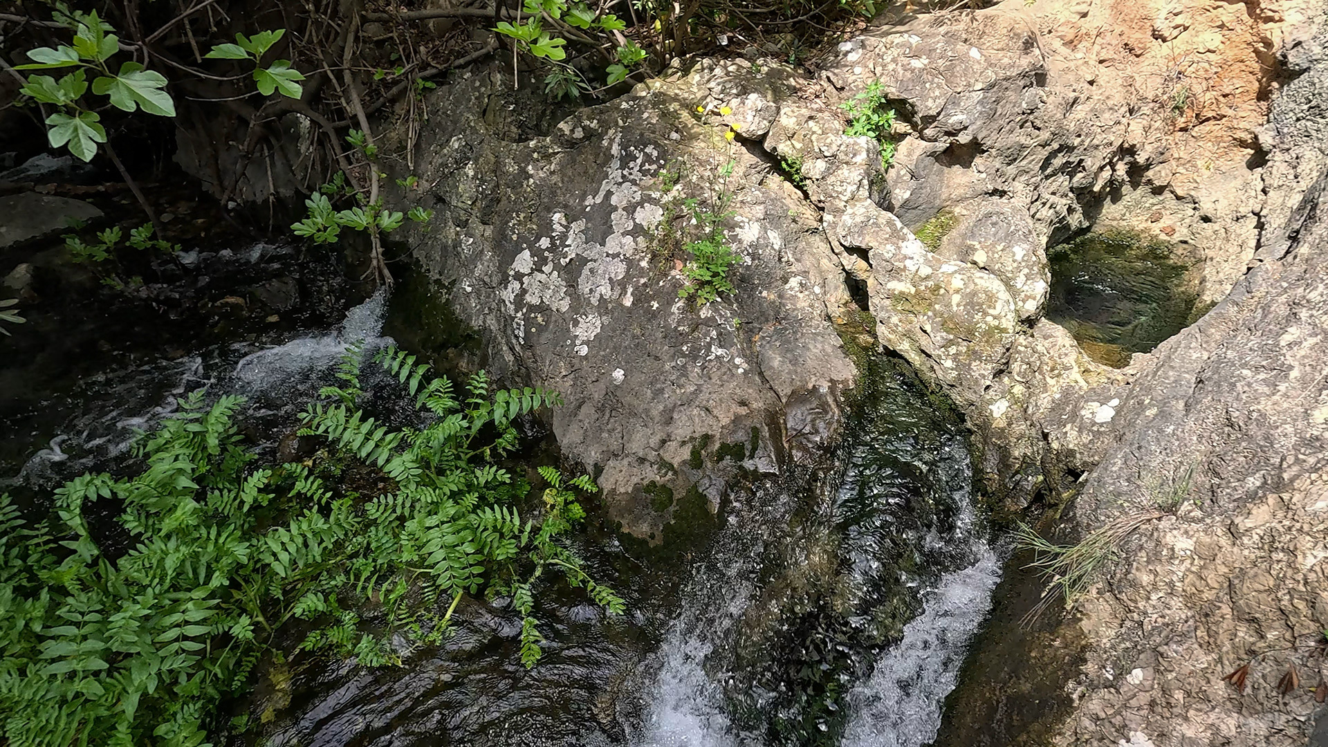 Felsen am Río Cuadros bei Bedmar — Kalkstein in seiner reinsten Form.